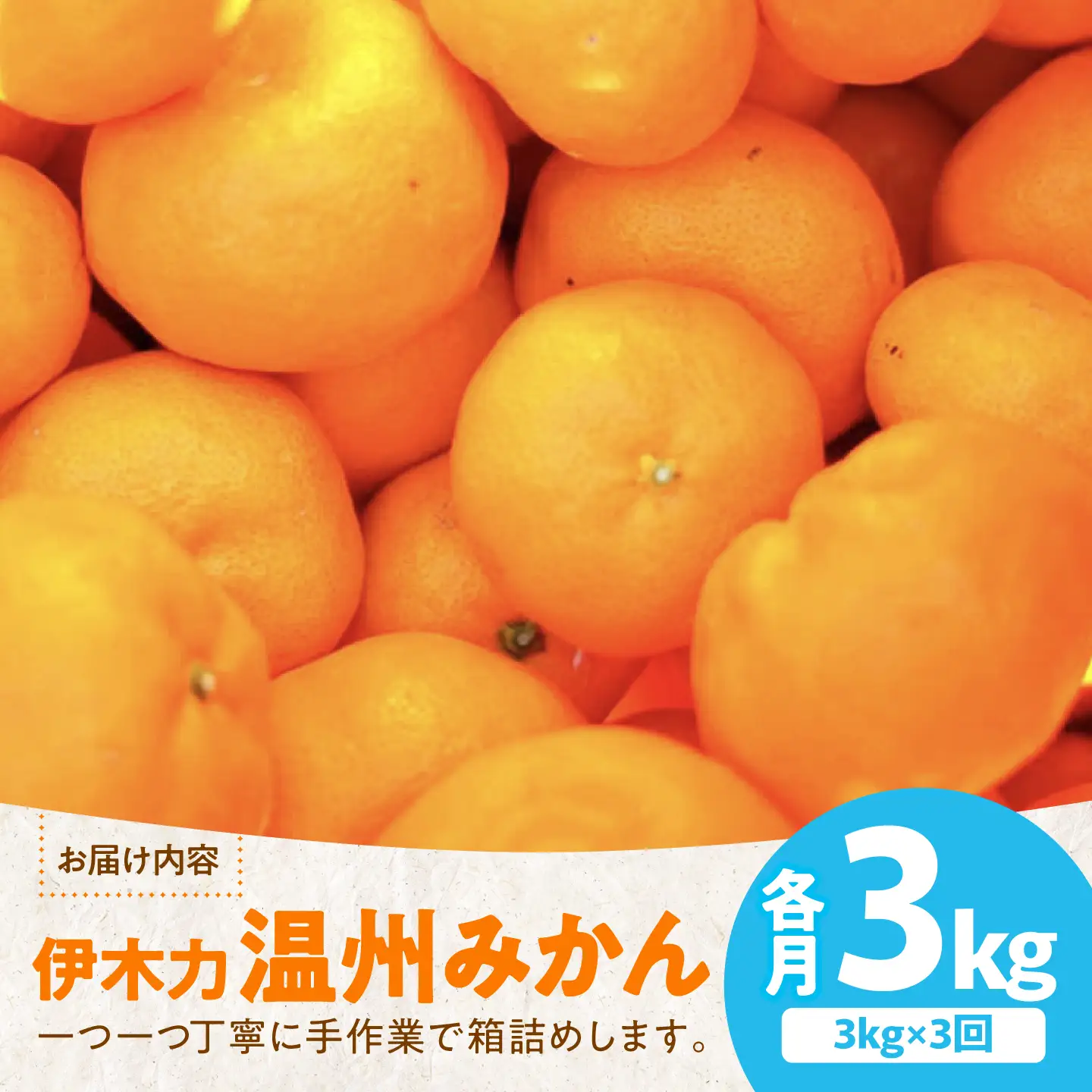 【3回定期便】伊木力温州みかん3kg (ご家庭用、箱入り) / 伊木力 温州みかん みかん ミカン 蜜柑 佐瀬 諫早 多良見 長崎 早生 / 末永果樹園[AHBD009]