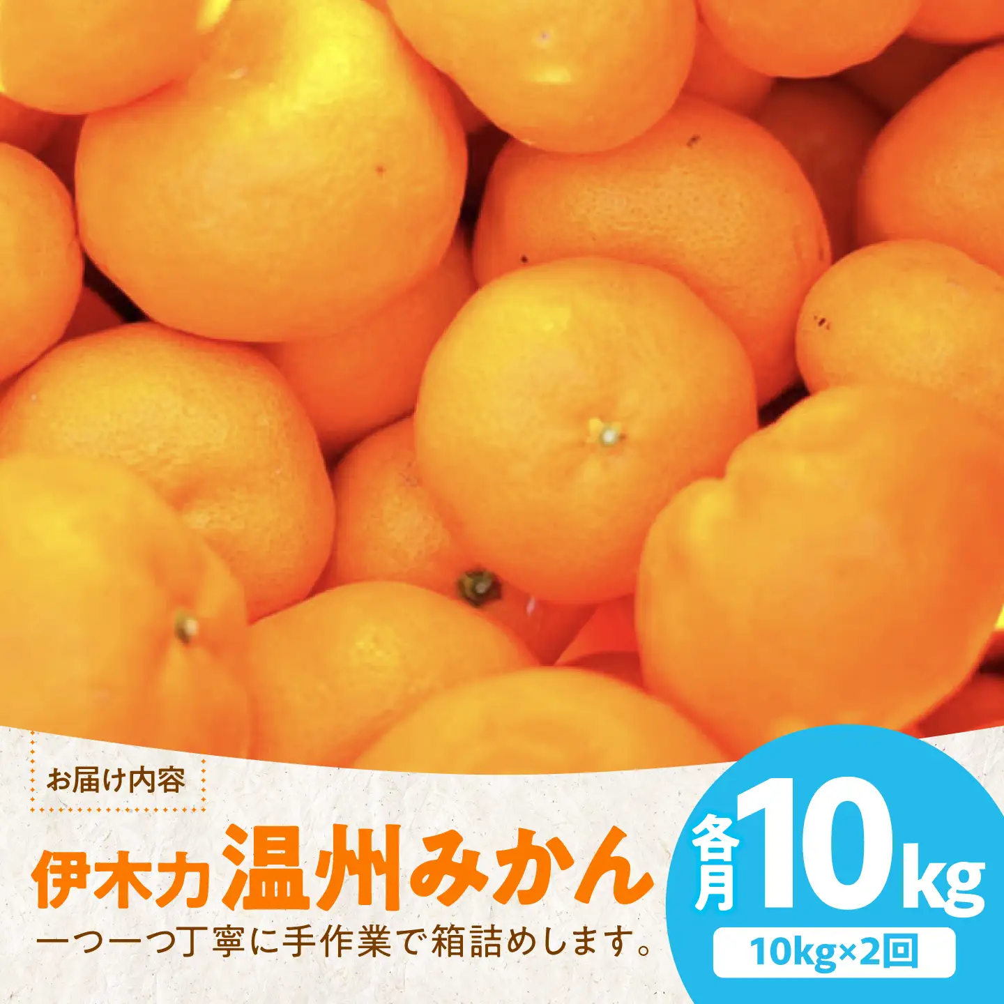 【2回定期便】伊木力温州みかん10kg (ご家庭用、箱入り) / 伊木力 温州みかん みかん ミカン 蜜柑 佐瀬 諫早 多良見 長崎 / 末永果樹園[AHBD012]