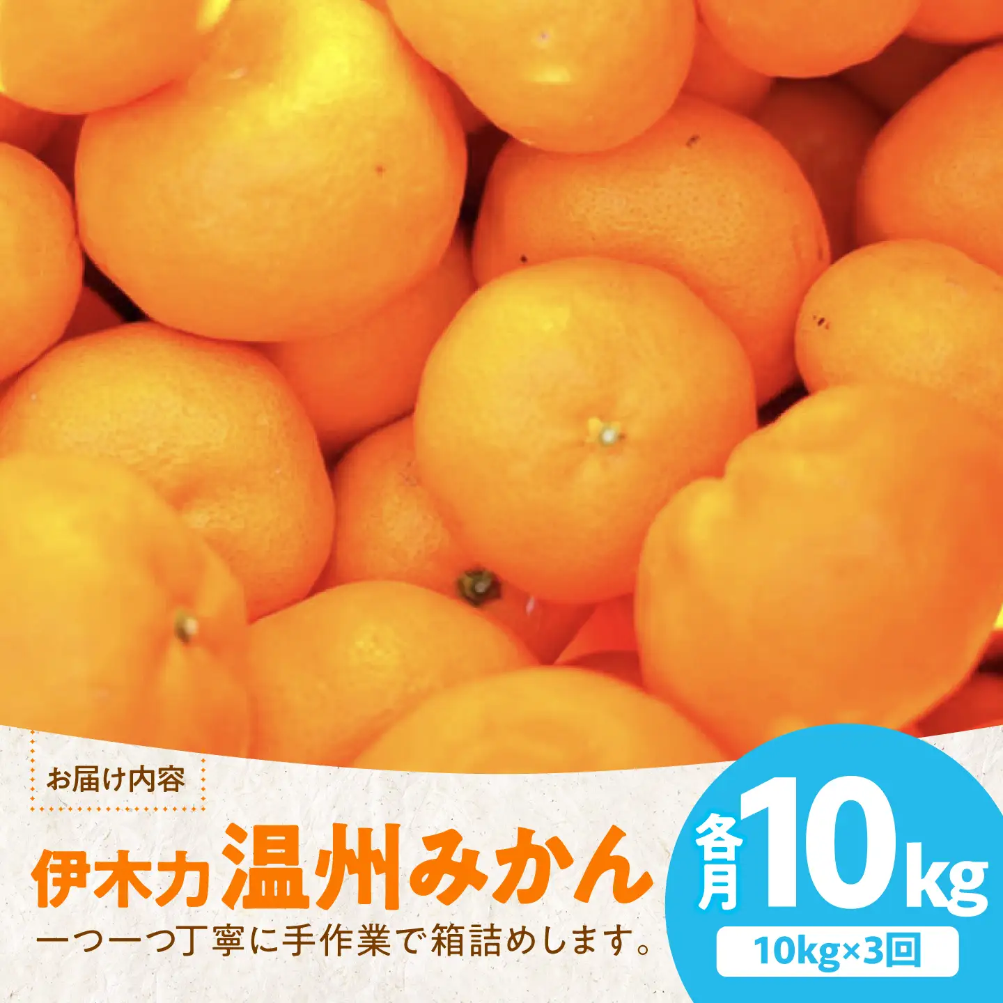 【3回定期便】伊木力温州みかん10kg (ご家庭用、箱入り)/ 伊木力 温州みかん 早生みかん みかん ミカン 蜜柑 佐瀬 諫早 多良見 長崎 / 末永果樹園[AHBD013]