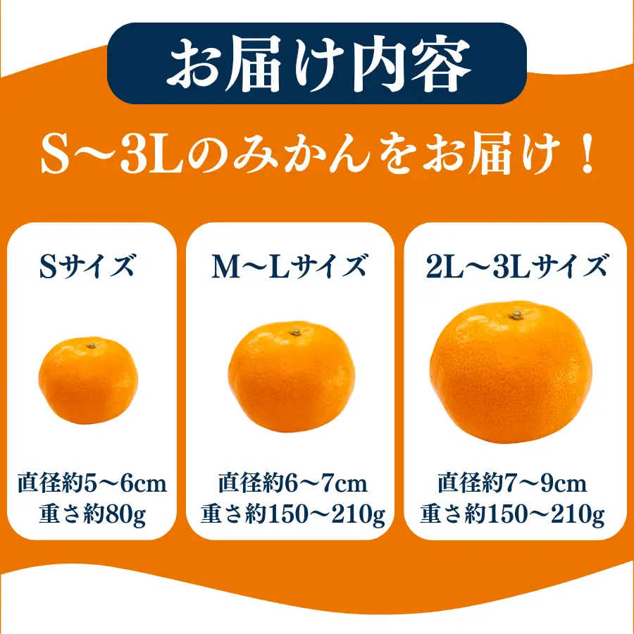 温州みかん 10kg 【 温州みかん 】
