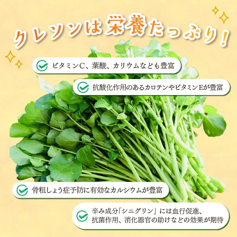 クレソン 下田クレソン 500g 野菜 国産 葉 ハーブ サラダ 葉物野菜 静岡県 伊豆 下田市