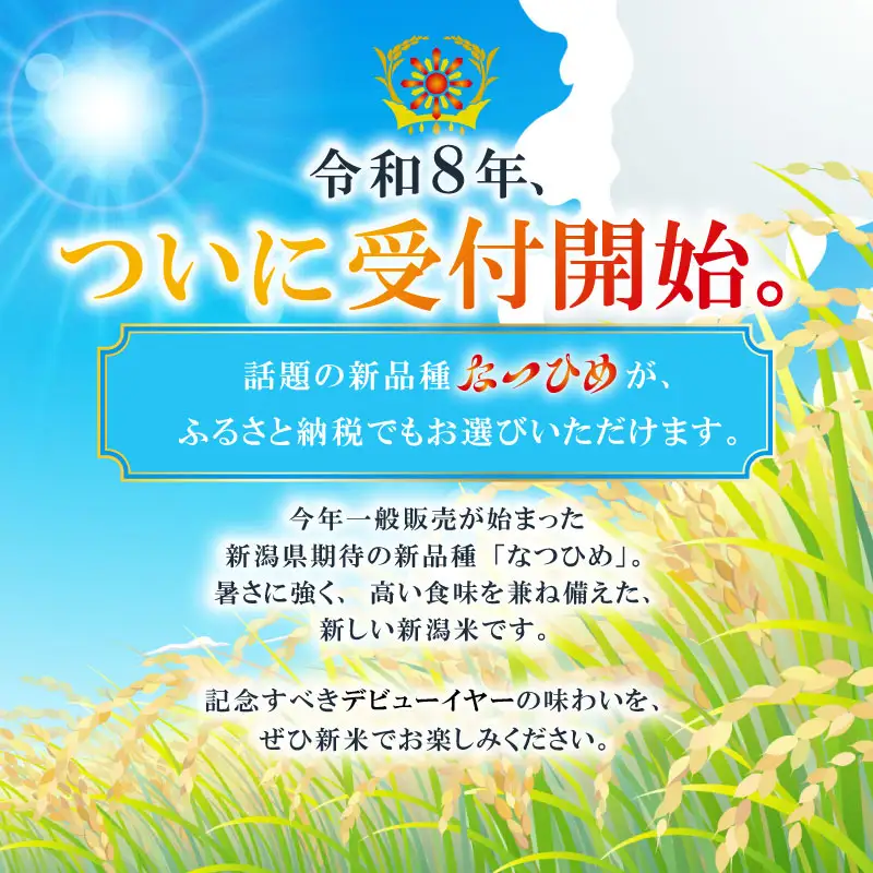 最短3日発送 新米 なつひめ 4kg 新米 新品種 令和8年産 米 白米 こめ 大粒 ごはん おにぎり お弁当 農家直送 産地直送 ふるさと納税 川瀬農園 新潟 新潟県 新発田市 kwsNH001_F