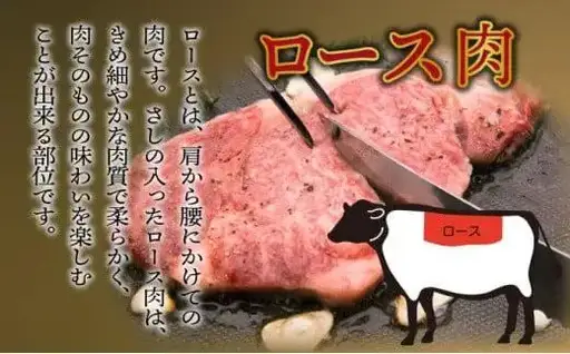 《2026年11月発送》宮崎牛ロースステーキ 200g×1枚 合計200g_K033-003-11