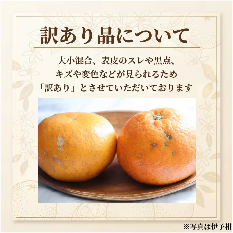 【2027年2月上旬頃から順次発送】 せとか 訳あり 約3kg みかん 田中農園 【TNN017】