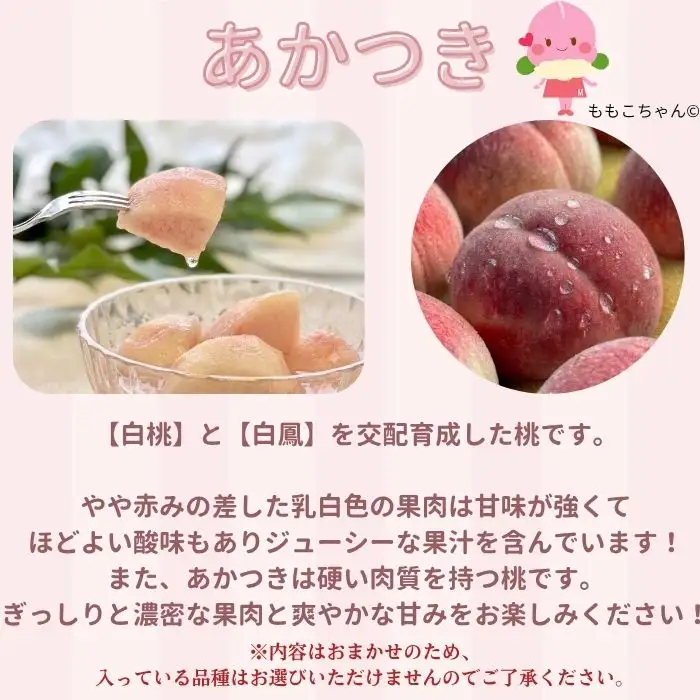 南信州産「桃」あかつき/なつっこ 約2kg 5～9玉 品種おまかせ＜2027年7月下旬より発送＞