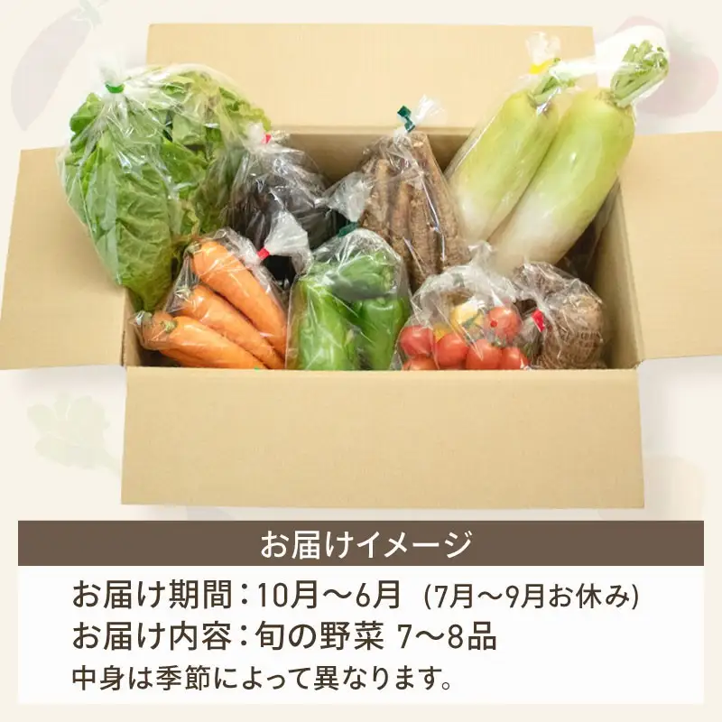 朝採れ新鮮！ 野菜セット(7～8品) | 野菜 セット