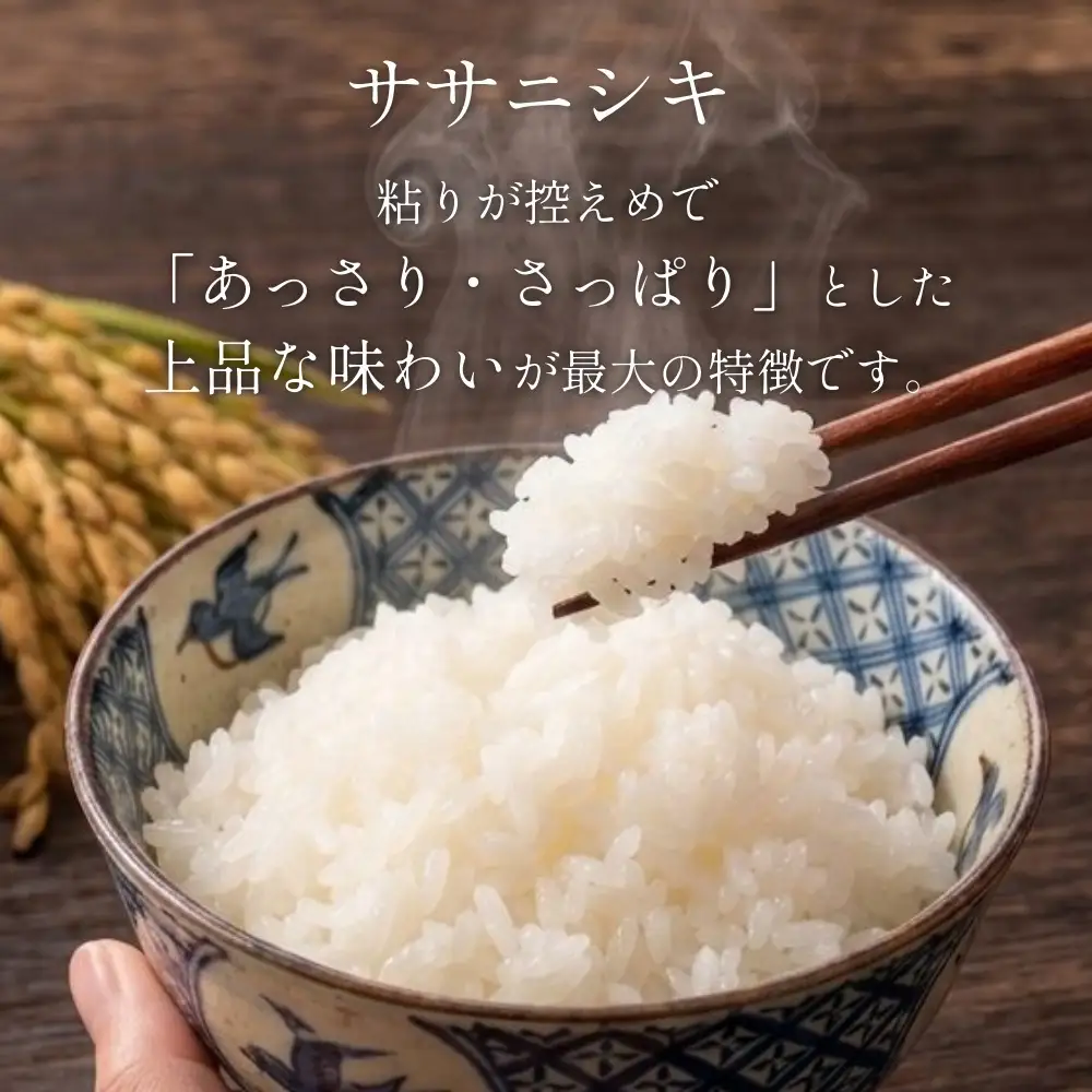 【 令和8年産 】 新米 ササニシキ 20kg 宮城県 石巻市産 精米 鮮度優先 米 お米 白米 ブランド米 単一原料米 産地直送 ごはん お弁当 宮城県 石巻市