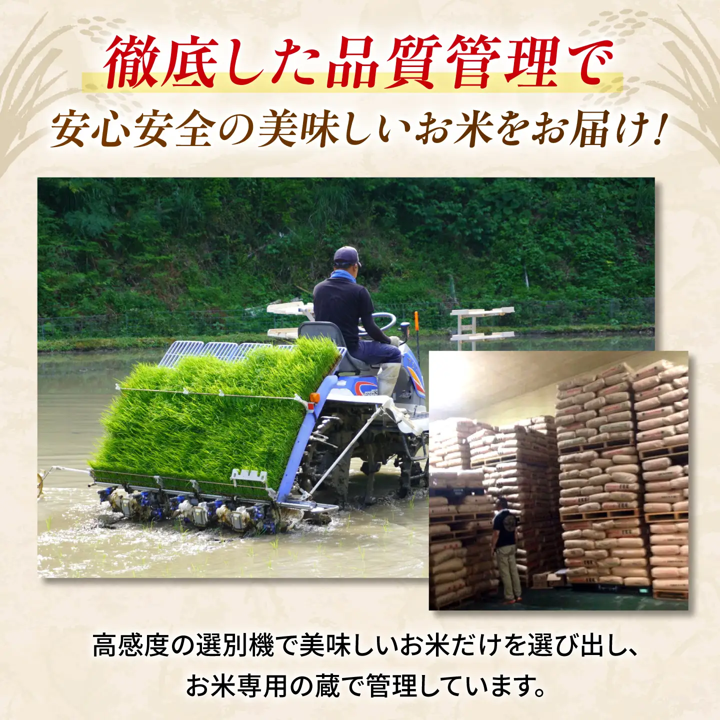 【新米先行予約】〈令和8年度産米〉熊本県産 森のくまさん 白米 20kg (5kg×4) 米 お米 ご飯 こめ【有限会社 あそしな米穀】[ZBI045]