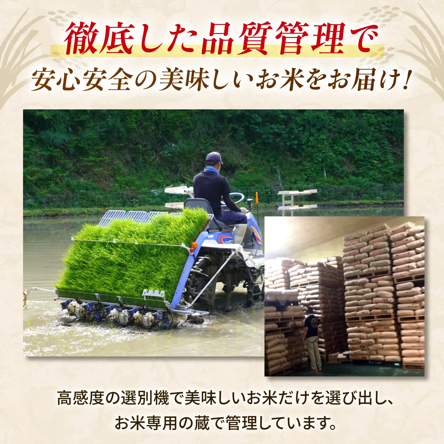 〈令和8年度産米〉【3回定期便】熊本県産 くまさんの輝き 白米 20kg (5kg×4) 米 お米 ご飯 こめ【有限会社 あそしな米穀】[ZBI051]