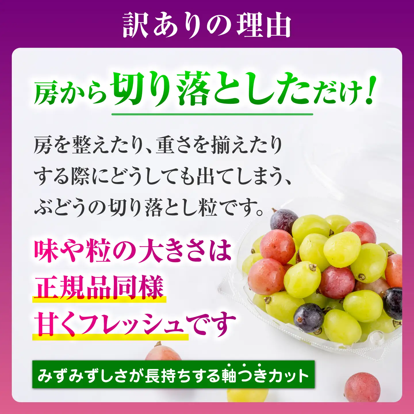 【先行予約】　訳あり ぶどう 切り落とし セット 旬の詰め合わせパック 計約1kg 1000g 葡萄 ブドウ フルーツ 熊本県 山鹿市【合同会社 社方園】[ZBZ057]