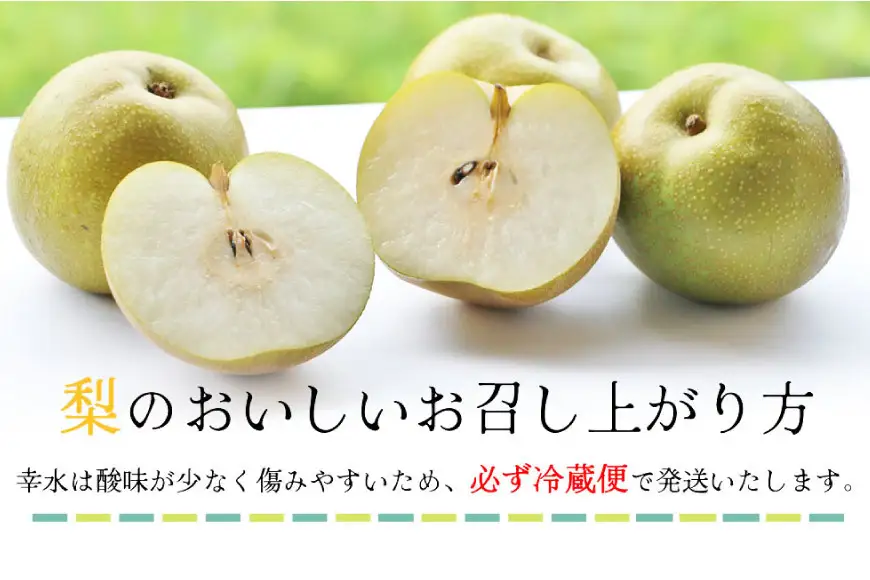 CH005 【令和9年度出荷分】【数量限定】 幸水梨 約5kg（10玉～16玉）