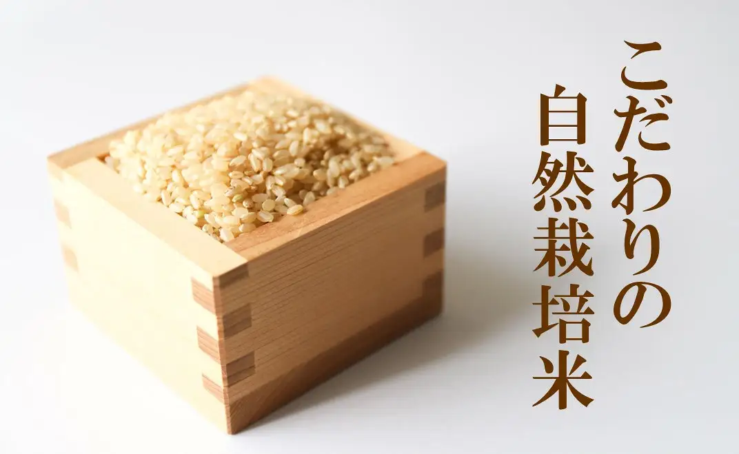 令和8年産 羽咋米 自然栽培 精米 5kg 羽咋米