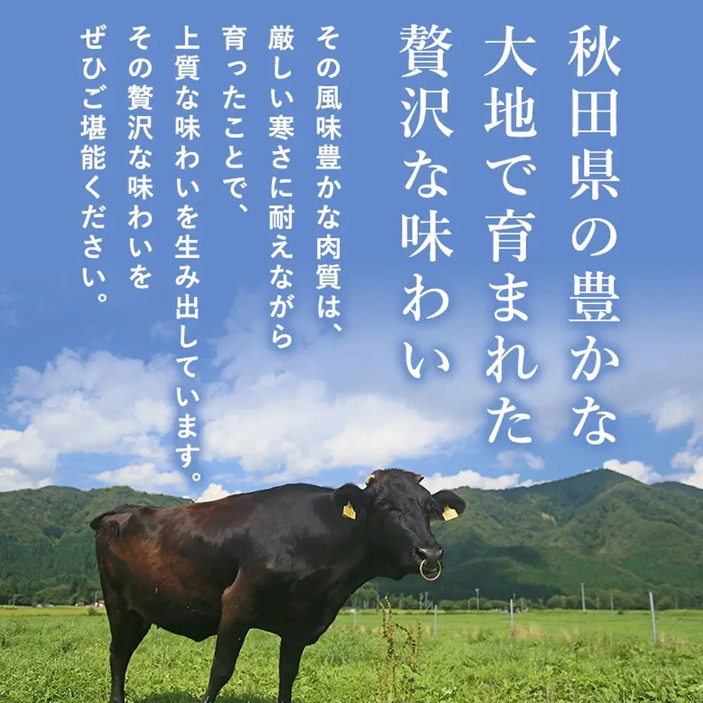 秋田牛 バラ切り落とし 300g