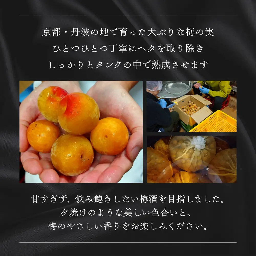 梅酒 神蔵 蜜號 日本酒仕込み 710ml 京都 リキュール