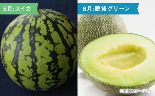 【 6ヶ月連続定期便 】 熊本の旬のフルーツお届け便 （ 1月上旬?6月下旬 ・ 年6回コース ） 果物 フルーツ 晩白柚 イチゴ デコポン オレンジハート メロン スイカ 肥後グリーン 果実 果汁 果肉 詰め合わせ 食べ比べ 熊本県産 国産 定期配送 定期 【 2027年1月より発送開始 】