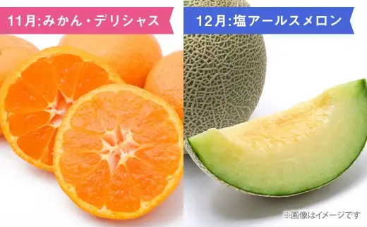 【 6ヶ月連続定期便 】 熊本の旬のフルーツお届け便 （ 7月上旬?12月下旬 ・ 年6回コース ） 果物 フルーツ ピオーネ シャインマスカット 栗 太秋柿 みかん デリシャス 塩アールスメロン 果実 果汁 果肉 詰め合わせ 食べ比べ 熊本県産 国産 定期配送 定期 【 2027年7月より発送開始 】