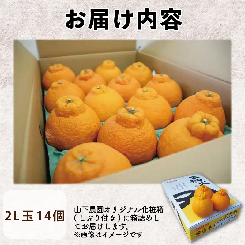 【不知火】 約 4kg から 5kg（2L玉14個 ) 不知火 みかん しらぬい