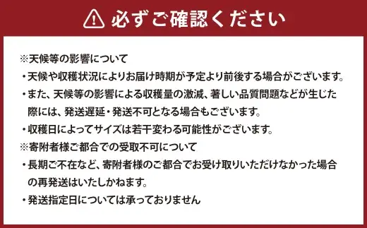 干し椎茸セット （ カット無25g × 2袋 ・ カット有50g × 2袋 ） 計4袋 しいたけ きのこ 乾物 和食 出汁 煮物 炊き込みご飯 味噌汁 お鍋 肉厚 香り 贈り物 プレゼント 贈答用 熊本県産 国産