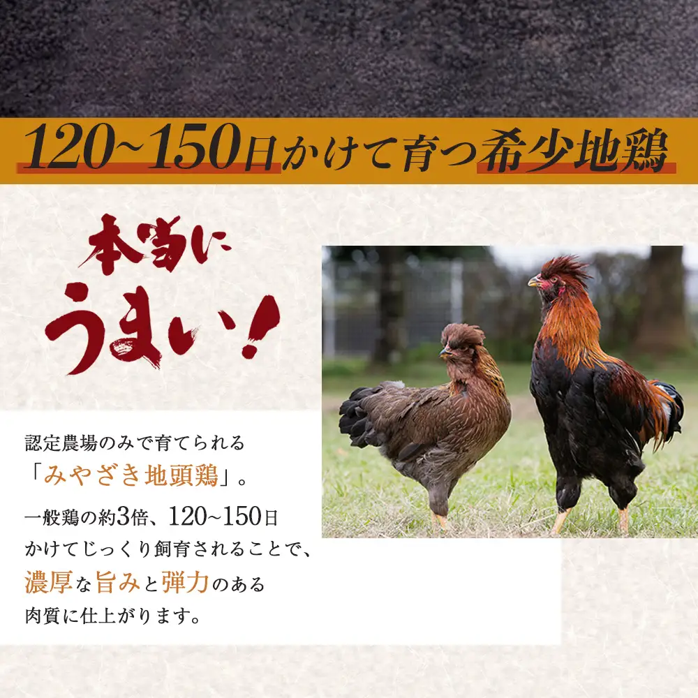 みやざき地頭鶏 焼き鳥 セット 約1.9kg 5種各1P 計5P 冷凍｜鶏肉 地鶏 じどり 宮崎産 鶏皮 ササミ 皮 大手羽 手羽先 手羽元 精肉 やきとり チキン じとっこ 真空パック セット 食べ比べ 興洋開発株式会社 宮崎県 諸塚村 KY-48