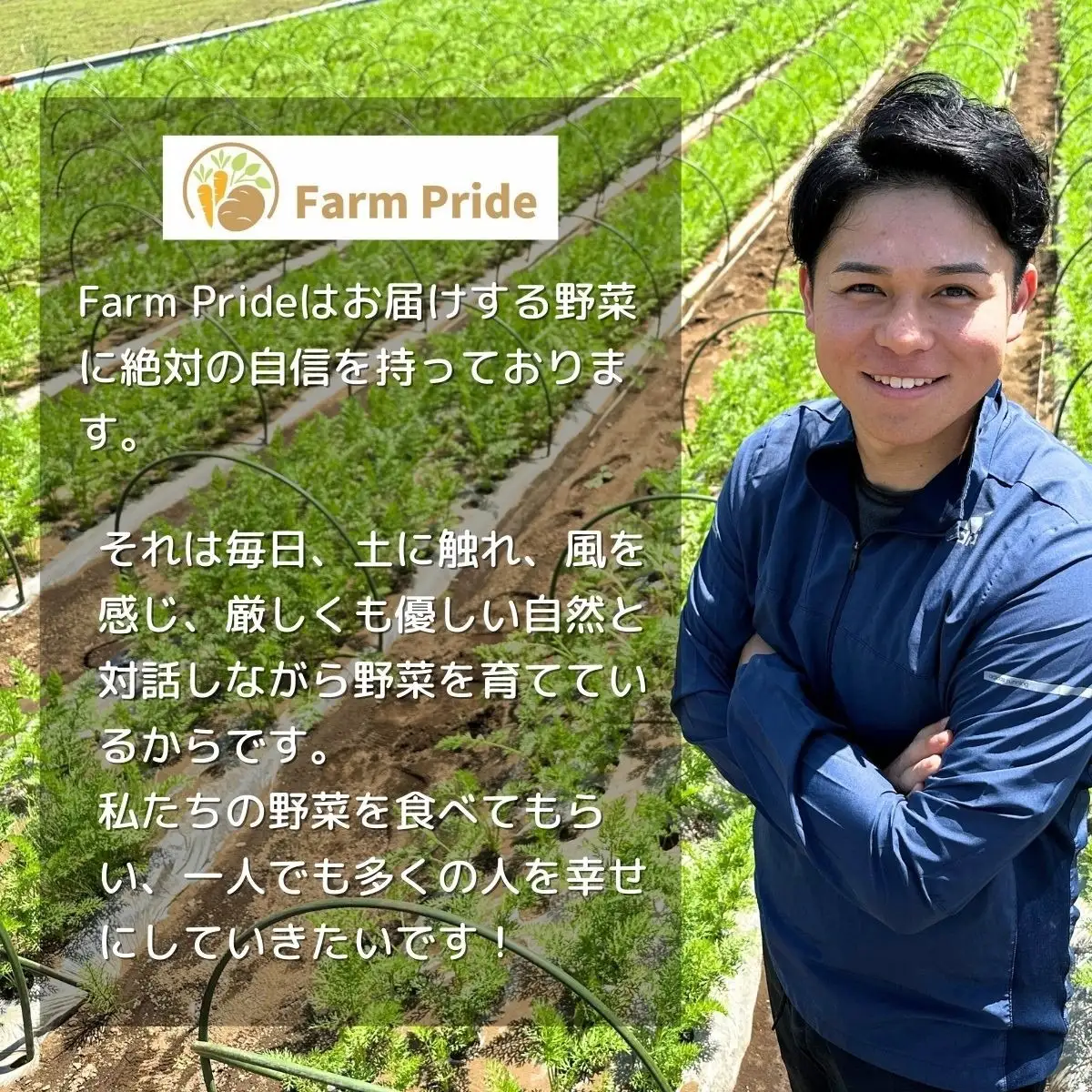 里芋 2Lサイズ 5キロ 里芋