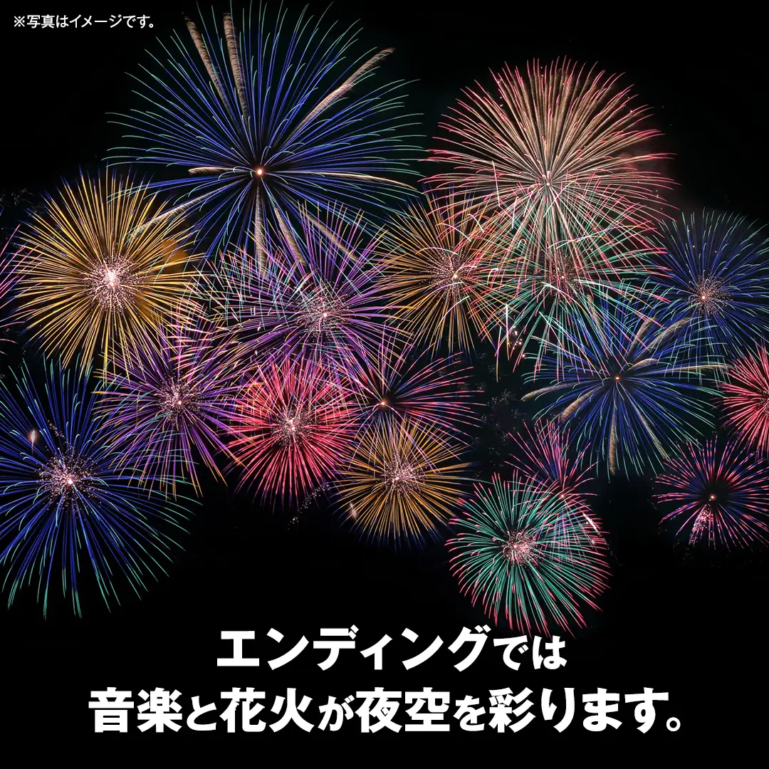 【VIP席チケット・数量限定】つくばみらい市市制施行20周年記念 MIRAI Music Fes 2026 1名 (駐車券付）フリードリンク（アルコール含む） FOOD付 入場チケット 音楽フェス 花火鑑賞
