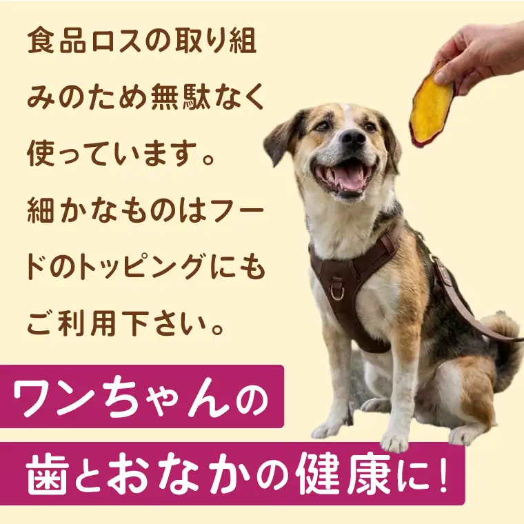 さつまいもジャーキー　約100g　for dogs｜茨城県 行方市 ふるさと納税 さつまいも ペットフード おやつ　犬用 動物用食品 無添加 無着色 ドッグフード（HZ-1）