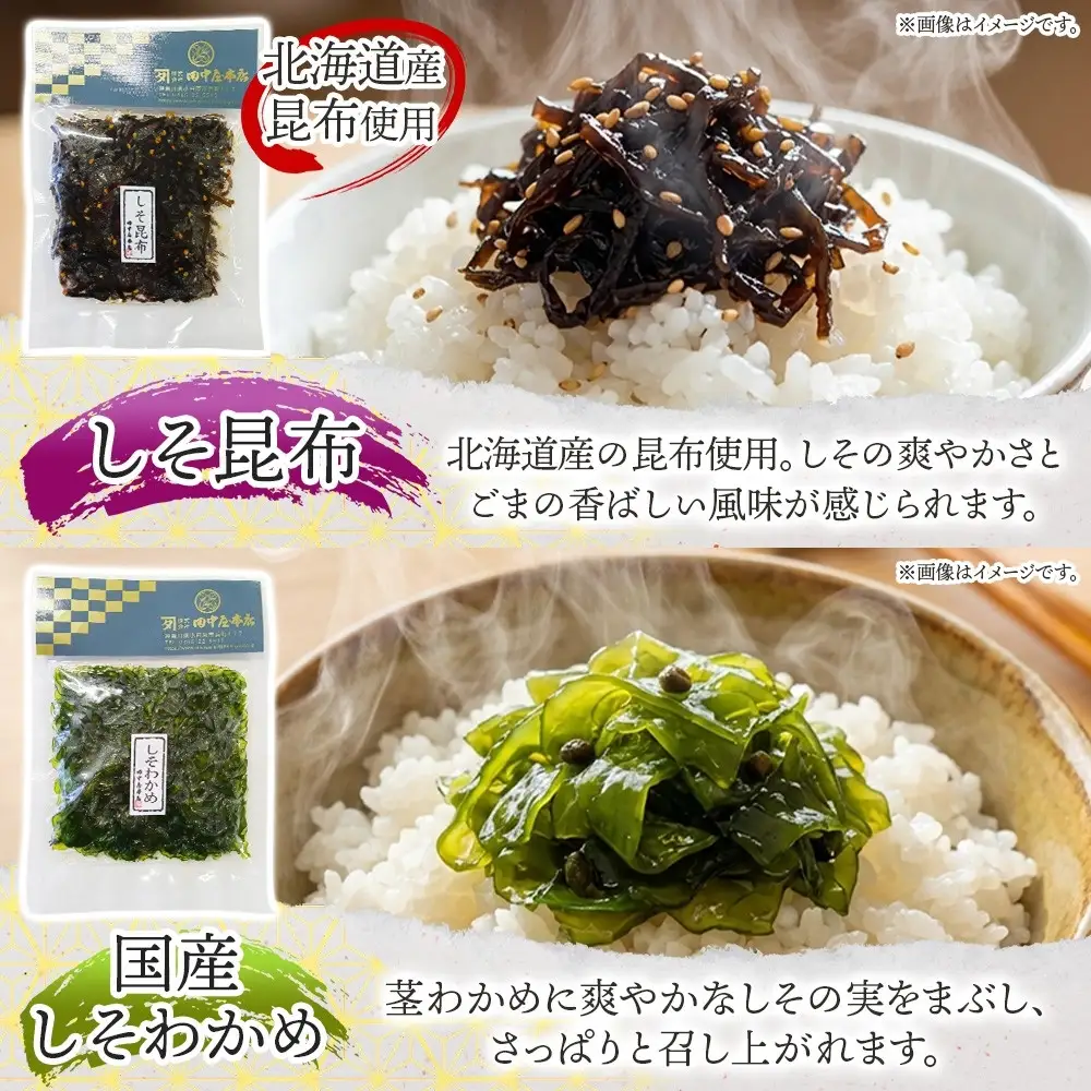 無地熨斗 ご飯のお供 つくだ煮5種 食べ比べセット しらす あさり しそ昆布 しそわかめ 生あみ 各1袋 田中屋本店佃煮 わかめ おにぎり お茶漬け 惣菜 おかず 和食 トッピング 老舗 ギフト 贈り物 朝食 弁当 おつまみ 小田原市 神奈川県