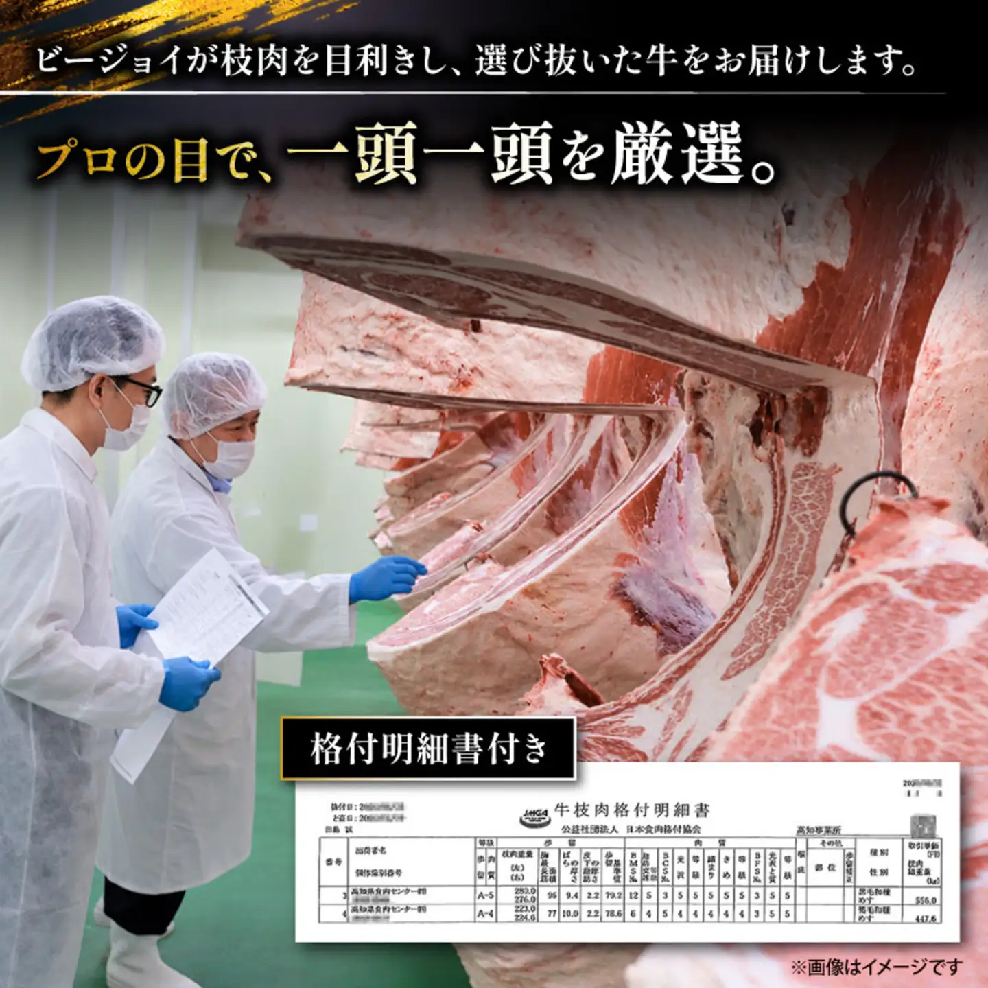 【土佐田島黒牛】切り落とし 500g モモ ウデ バラ 牛肉 | ブランド牛 すきやき 切り落とし肉