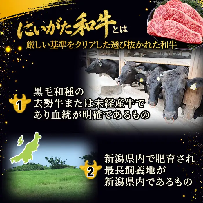71-Nにいがた和牛 サーロインステーキ 500g（250g×2枚）