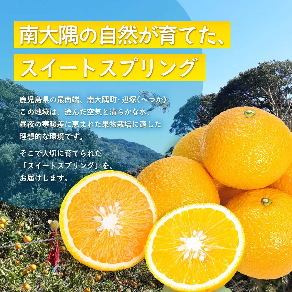 【訳あり】≪先行予約・数量限定≫鹿児島県南大隅産スイートスプリング 約5kg ID-12 ｜訳あり 訳アリ スイートスプリング すいーとすぷりんぐ 柑橘 カンキツ 柑橘類 詰め合わせ 産地直送 おすすめ 人気 鹿児島県 南大隅町