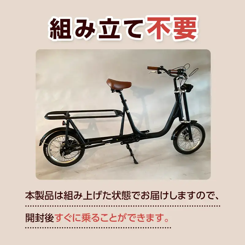 【完成品でお届け】 TRUNK (トランク) (TR-01) 自転車 組み立て済み
