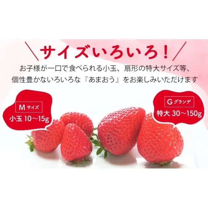 福岡ストロベリーパーク あまおう サイズ色々 8パック 約2kg（約250g×8p）