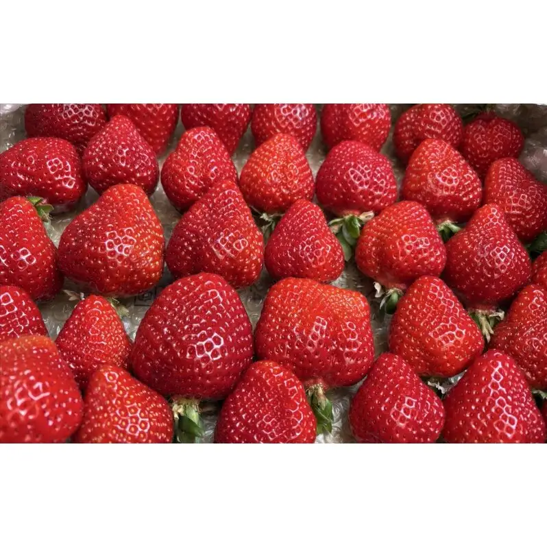 完熟 冷凍 あまおう (いちご) 2kg