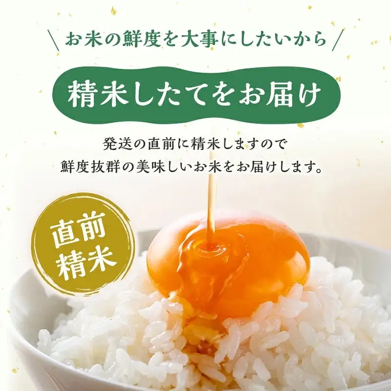 【定期便：雪国逸品　精米3kg×12ヶ月】越後魚沼郷 魚沼産コシヒカリ