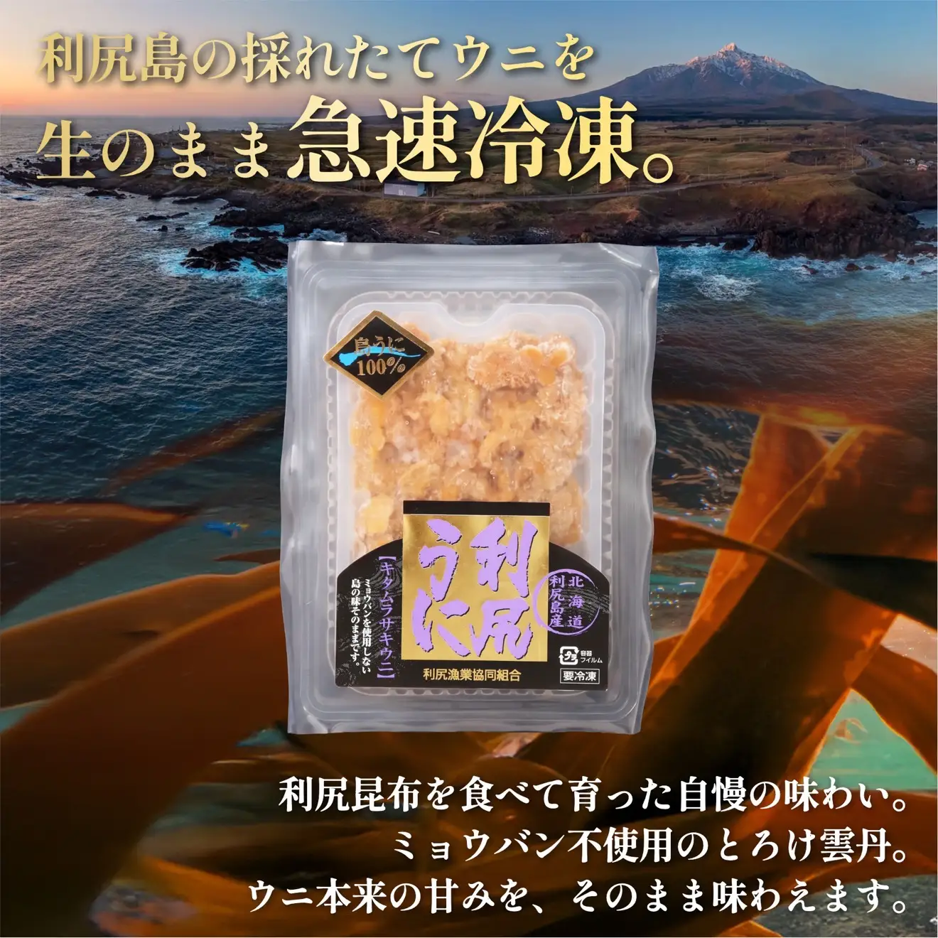 とろけ雲丹 利尻島産 冷凍うに 400g ミョウバン不使用 ウニ ルイベ仕立て 100g×4p｜ | 冷凍ウニ 小分け 海鮮 魚介 ウニ丼 無添加 雲丹 ウニ 北海道 ルイベ 刺身 [1060149]