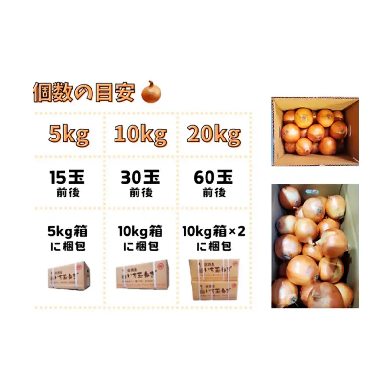 【期間限定】旬の淡路島産 新たまねぎ 5kg  たまねぎ タマネギ 玉葱 野菜 新鮮 旬の野菜 季節の野菜 兵庫県 洲本市 淡路島