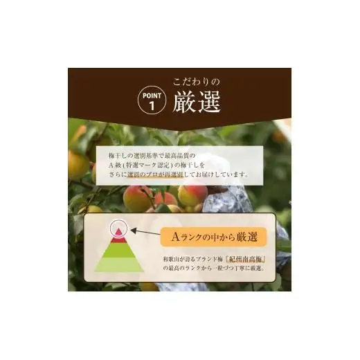 N230 ご家庭用しそ漬梅