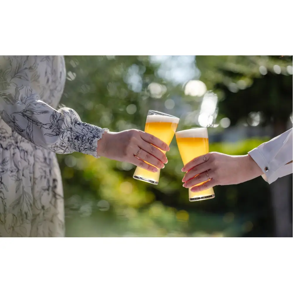 クラフトビール　ZestyGose（柚子胡椒）330ml×３本セット