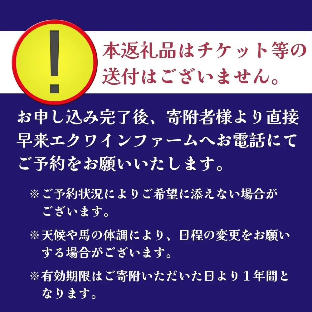 【ふるさと納税】  本格乗馬体験  1回分 北海道安平町〈早来エクワインファーム〉馬 サラブレッド ポニー 競馬 馬術 体験