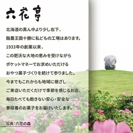 六花亭 六花セレクションA 2セット(1セット:マルセイバターサンド5個+マルセイバターケーキ5個)【配送不可地域：離島】【1784588】