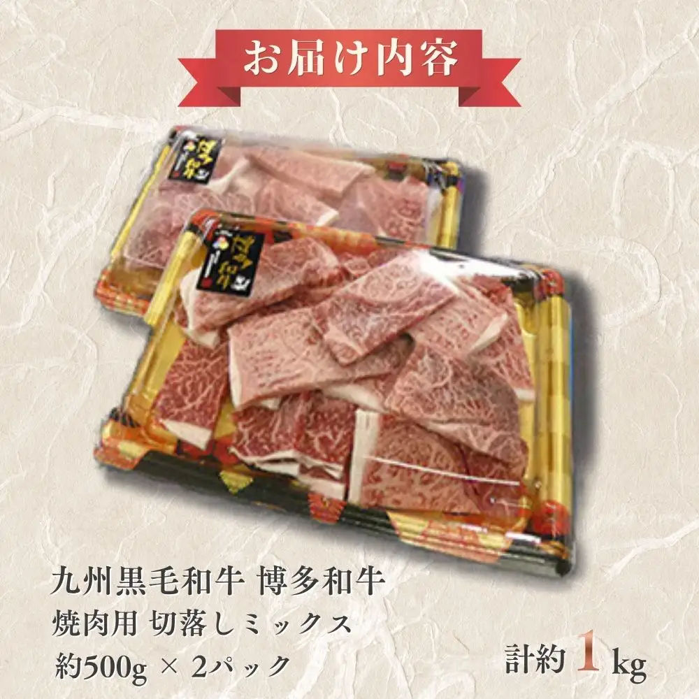 A4ランク博多和牛焼き肉用切り落とし1kg(500g×2P)[H0209]