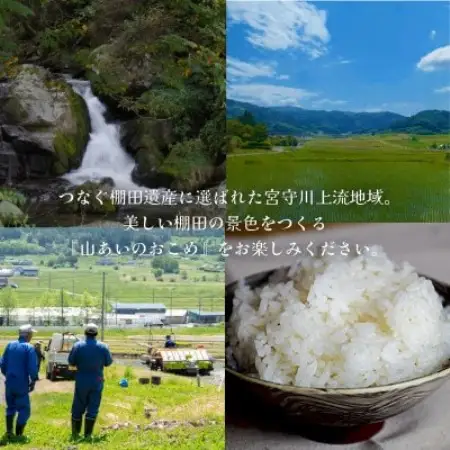【山あいのおこめ】R8年産 あきたこまち 精米 10kg  宮守川上流生産組合【1786228】