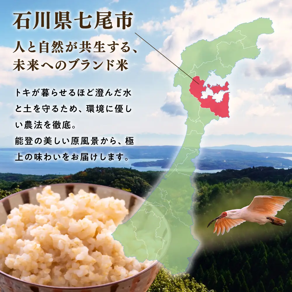 万行希望の丘農園 こしひかり 玄米 5kg｜米 玄米 能登 里山 里海 石川県 七尾市 能登半島