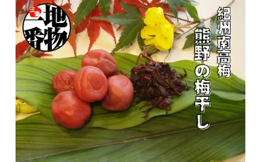 梅干し 南高梅 無添加 しそ漬け梅干し 110g×2【frsn0019】