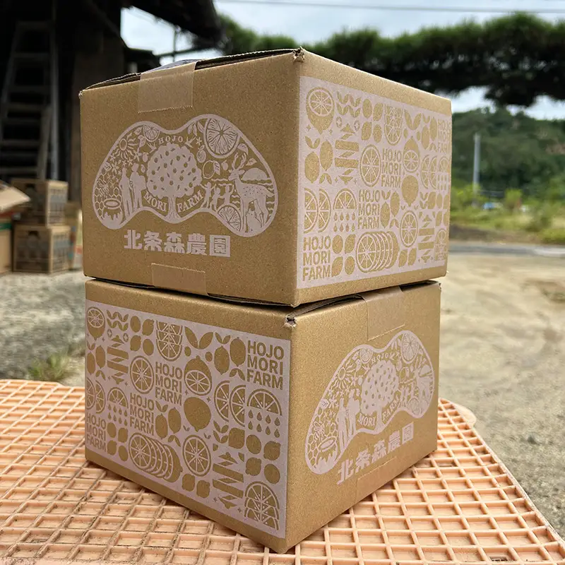 【2026年10月上旬頃より順次発送】数量限定 もりのしずくれもん 3kg 国産 | グリーンレモン イエローレモン 【HMN004】