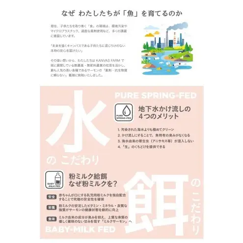 サーモン 朝倉市産 のとりサーモン 150g×4 魚 冷凍 ※配送不可:離島