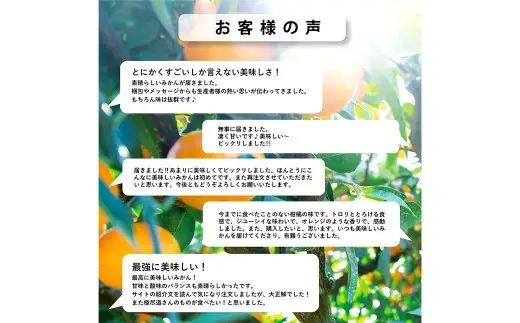 【 搾った瞬間に広がる青い香り 】 グリーンレモン 約4kg 皮まで使える 料理 調理 国産 フルーツ 果物 国産レモン 【 2026年9月下旬-11月下旬発送予定 】  ( 1174-1 )