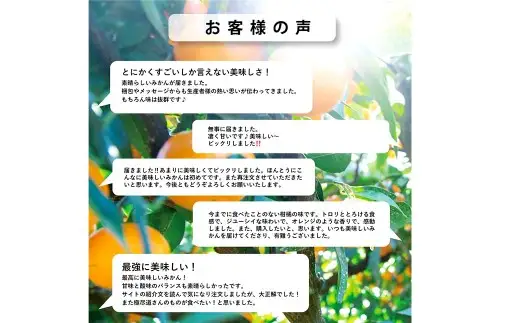 【 ひと搾りで際立つ上質な香り 】 レモン 約4kg  料理 調理  国産 フルーツ 果物 国産レモン 【 2027年1月上旬‐4月下旬発送予定 】  ( 1175-1 )