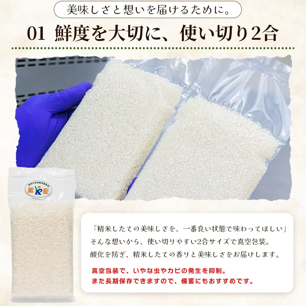 【令和８年度産】 米（コシヒカリ） 2合（300g) ×30 真空パック 小分け ke-0065