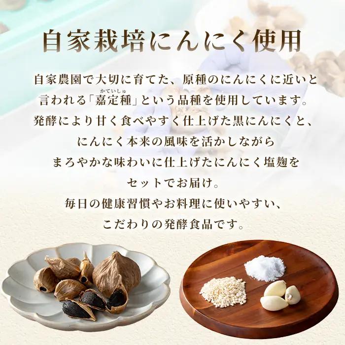 鹿児島県産 にんにくセット(合計約240g / 熟成黒にんにく：約120g・にんにく塩麹：約120g) 国産 ガーリック 発酵【悠希農園】A93004